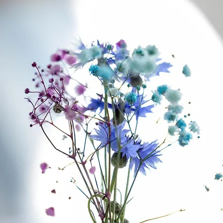 Apartmán Konik Morski - Z Basenem - Easy - Rent Trzęsacz